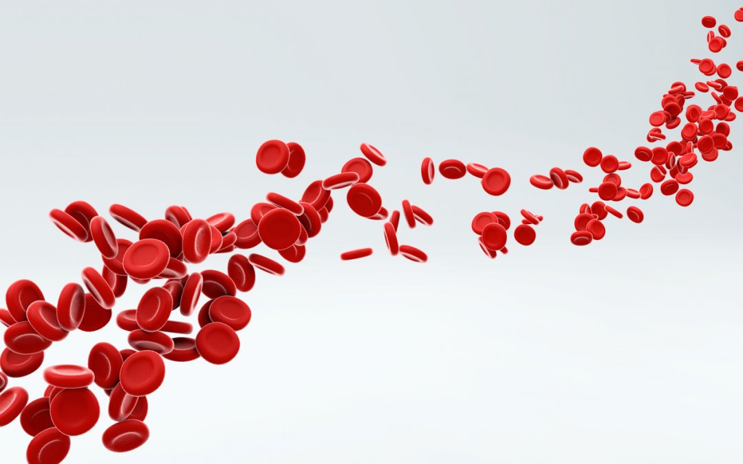 Uso de anticoagulantes: tudo o que você precisa saber