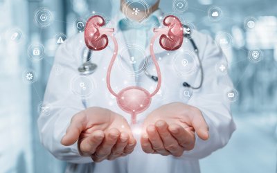 Quando se deve consultar um urologista?